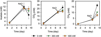 Short-Term Exposure of Paddy Soil Microbial Communities to Salt Stress Triggers Different Transcriptional Responses of Key Taxonomic Groups